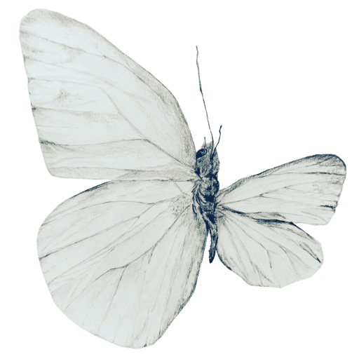 mariposa con un ala rota dibujo terapeutico